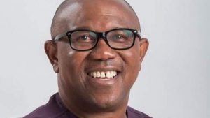 _124810958_peterobi