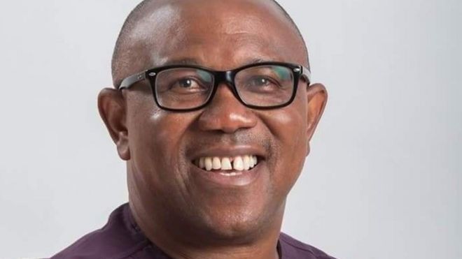 _124810958_peterobi