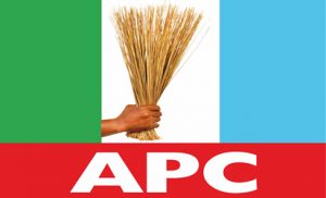 APC Primary Elections - Amuwo Arise Group Vows To Resist Imposition
